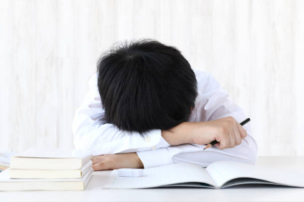 planning de devoirs à imprimer